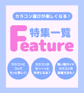 feature_gaiyou1.jpg