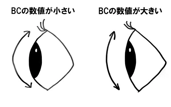 BCのサイズって？
